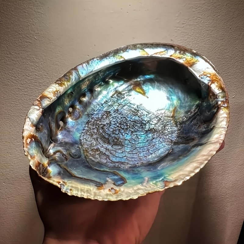 Outdoor Furniture Material - Abalone-Muschel-Pflanzgefäße, Abalone-Muschel-Ornamente, Gartenskulpturen und -statuen, Garten-Miniaturmodelle