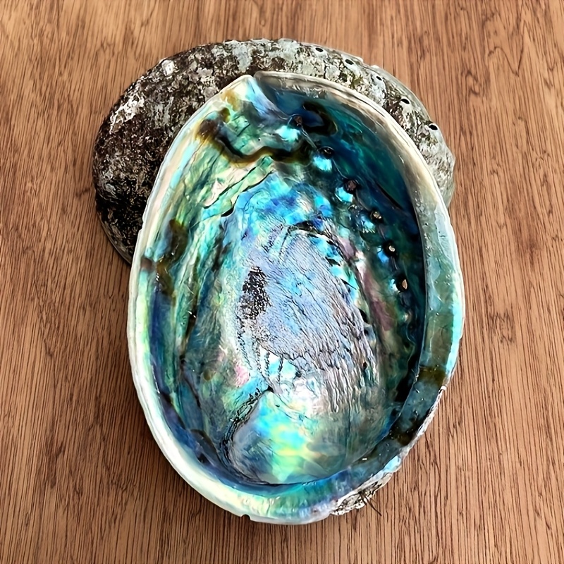 Abalone-Muschel-Pflanzgefäße,  – Outdoor Furniture Material Bewertung und Preis