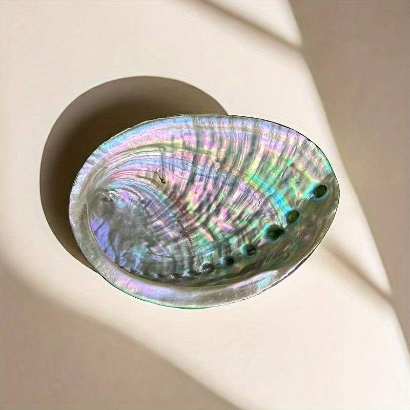 Abalone-Muschel-Pflanzgefäße,  – Outdoor Furniture Material Bewertung und Preis
